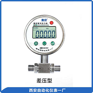 DP-100数字压力表